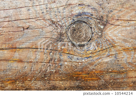 texture old wood with bough 10544214