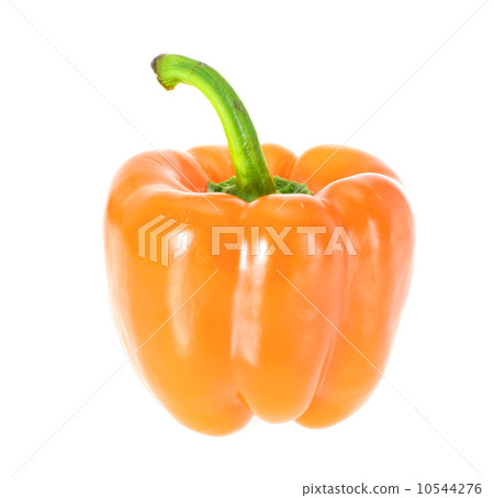 Colored Fresh Sweet Pepper Isolated on White Background Colored Fresh Sweet Pepper Isolated on White Background 10544276