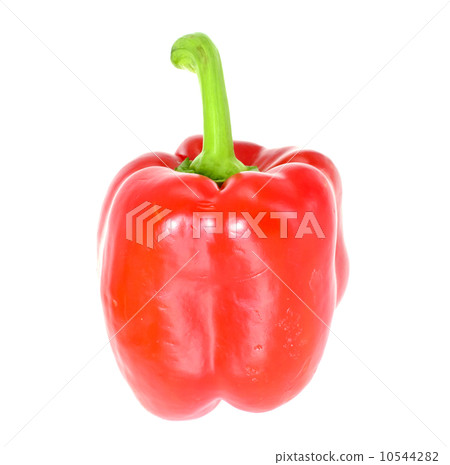 Colored Fresh Sweet Pepper Isolated on White Background Colored Fresh Sweet Pepper Isolated on White Background 10544282