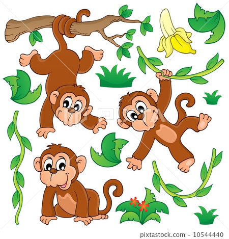 Monkey theme collection 1 10544440