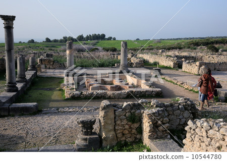 Volubilis的 Volubilis的 10544780