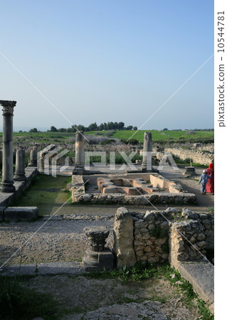 Volubilis的 10544781