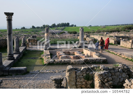 Volubilis的 Volubilis的 10544782