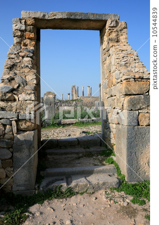 Volubilis Volubilis 10544839