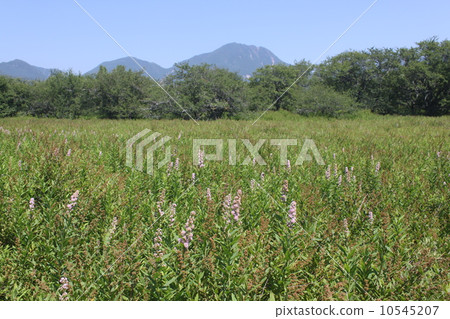 Male body mountain seen from Nikko Senjogahara 23 Male body mountain seen from Nikko Senjogahara 23 10545207