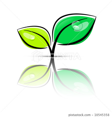 Leaves Green Vector Illustration Isolated on White Background 10545358