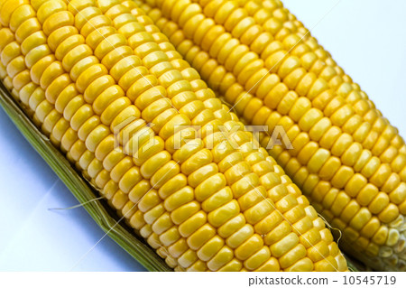 Bright color sweet corn. 10545719