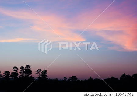 Colourful Sky and Forest Silhouette at Sunset. 10545742