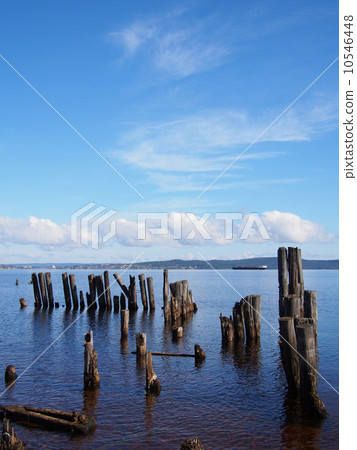 old pile on the lake 10546448