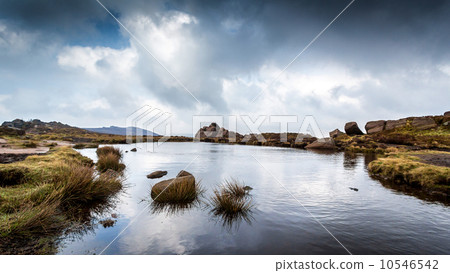 The Roaches The Roaches 10546542