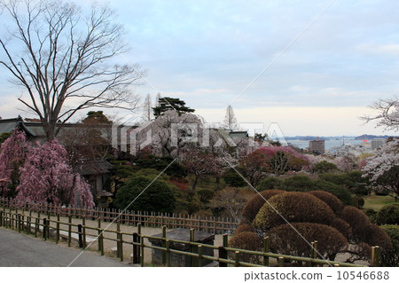 View from Shiogama Shrine 10546688