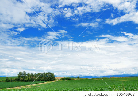 Summer sky of Biei Summer sky of Biei 10546968