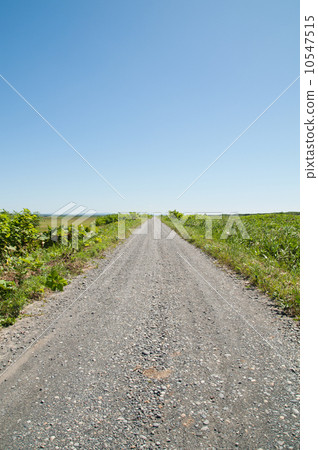 在北部北部未鋪砌的道路 在北部北部未鋪砌的道路 10547515