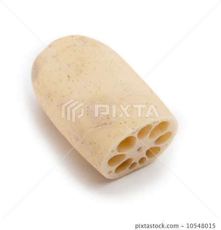 Lotus root white back 10548015