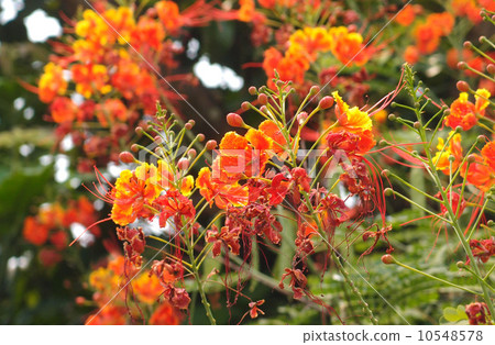 Hearn Knock Yoon (Athlete) 10548578