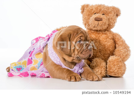 best friends best friends 10549194