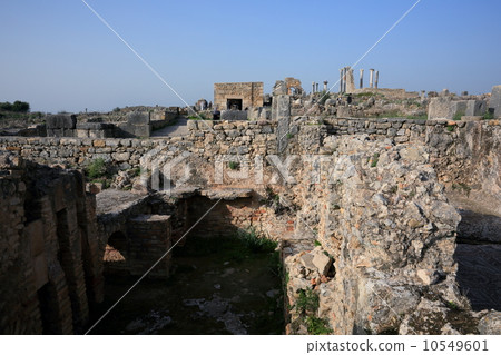 Volubilis Volubilis 10549601