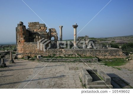 Volubilis的 Volubilis的 10549602