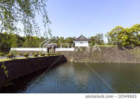Sakuradamon 10549883
