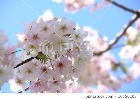 輕鬆的天空 10550108