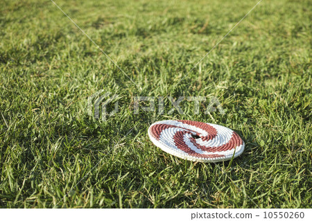 frisbee, Frisby, lawn 10550260
