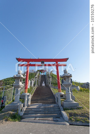 National Designated Natural Monument Kabushima 10550276