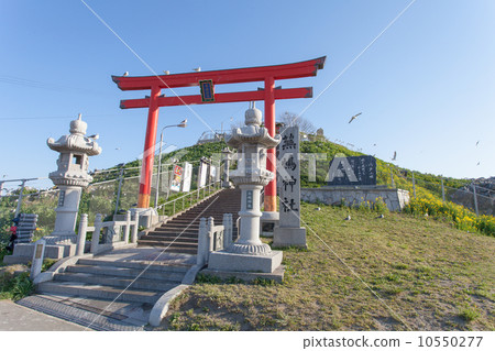 National Designated Natural Monument Kabushima 10550277