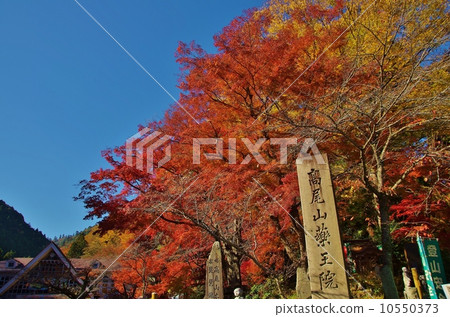 秋葉高雄 10550373