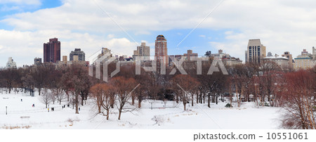 New York City Manhattan Central Park panorama in winter 10551061