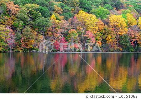 Bear Mountain lake 10551062