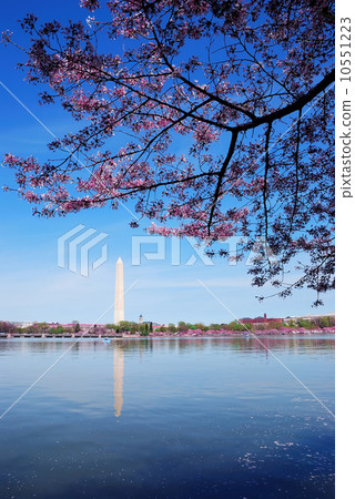 Washington DC 10551223