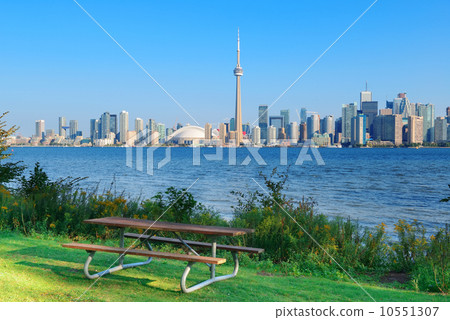 Toronto skyline from park Toronto skyline from park 10551307