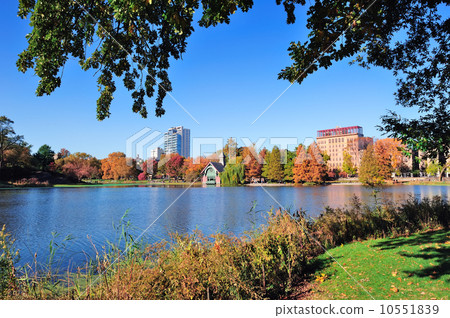 New York City Central Park Autumn 10551839