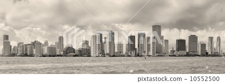 Miami black and white 10552500
