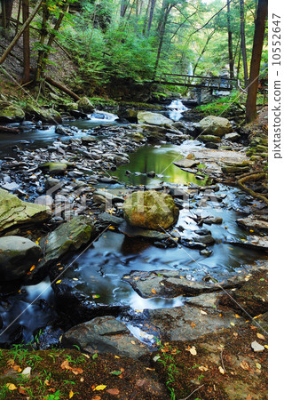 River with rocks in forest 10552647