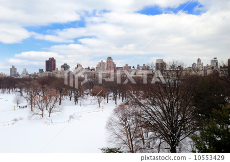 New York City Manhattan Central Park in winter New York City Manhattan Central Park in winter 10553429