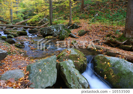 Autumn creek rocks 10553500