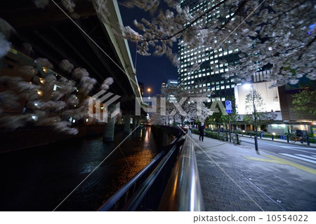 首都高速公路5號池袋線櫻花在晚上 10554022