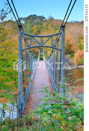 Bear Mountain foliage 10554131