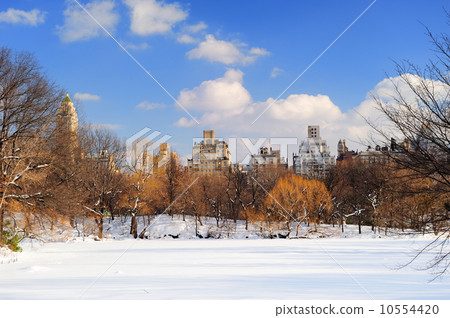 New York City Manhattan Central Park panorama New York City Manhattan Central Park panorama 10554420