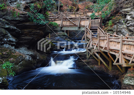 Autumn creek with hiking trails and foliage 10554946