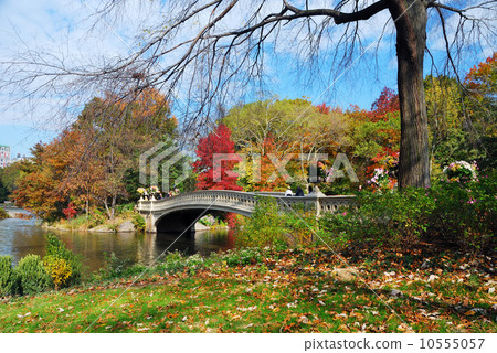 New York City Manhattan Central Park 10555057