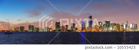 Miami night scene 10555425
