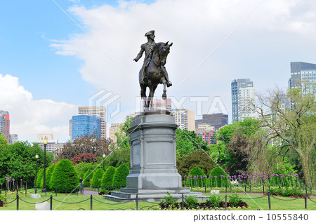 Boston Boston 10555840