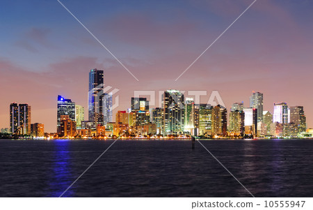Miami night scene 10555947