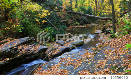 Autumn creek on rocks 10556050