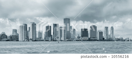 Miami black and white 10556216