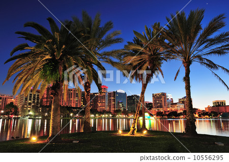 Orlando at night 10556295