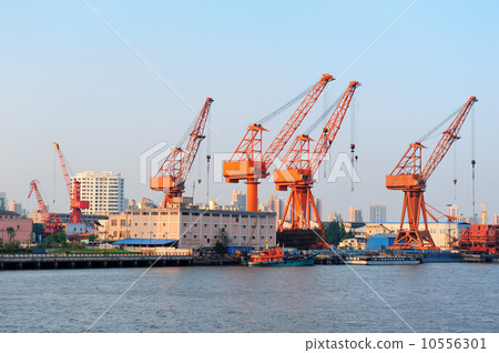 Shanghai Port Shanghai Port 10556301