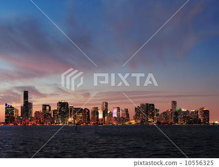 Miami night scene 10556325